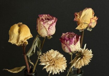 احیای گل‌های پژمرده