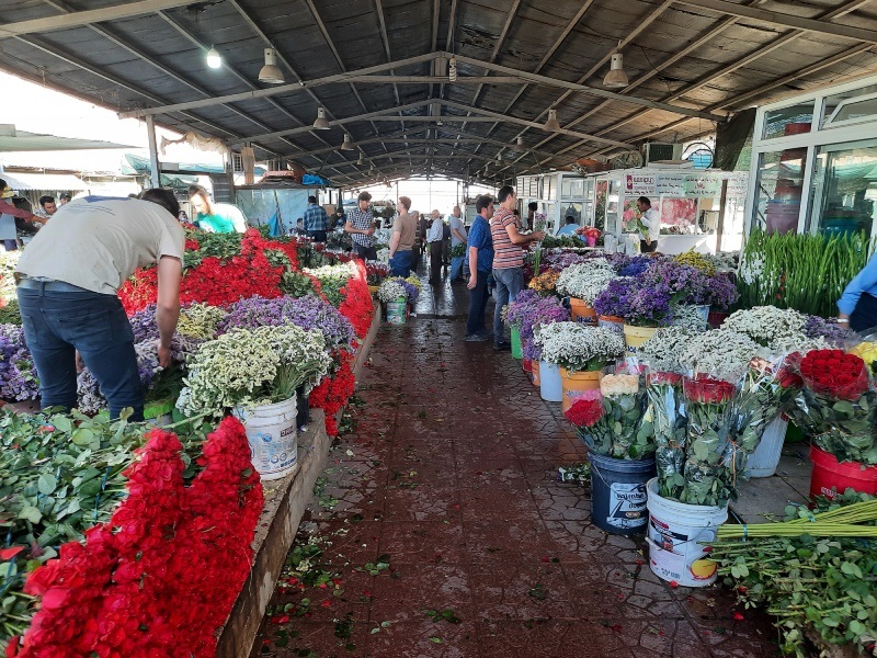 خرید عمده گل در تهران
