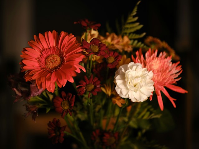 گلآرایی پاییز